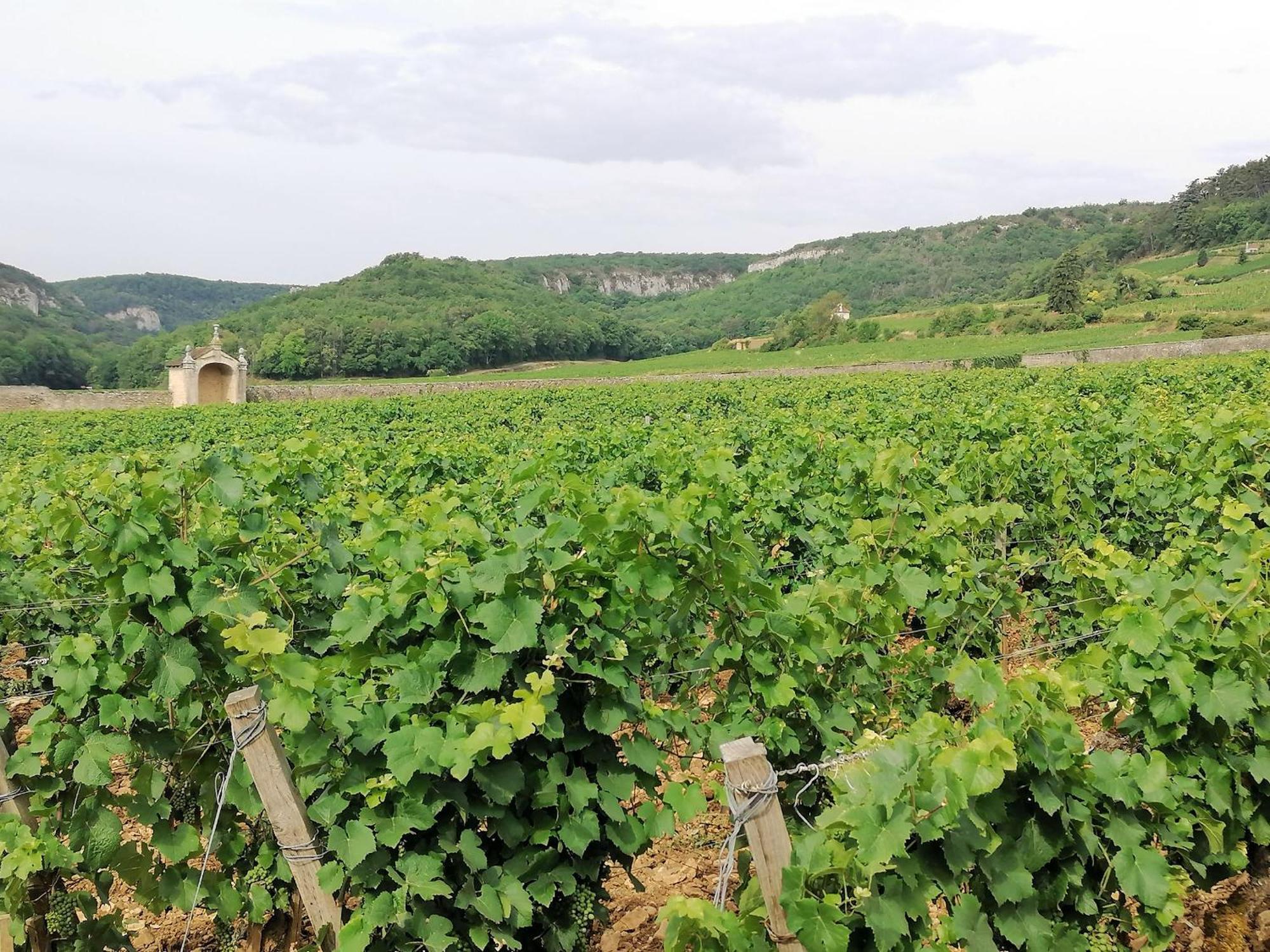 Gite Hautes Cotes De Nuits Curtil-Vergy Exterior photo
